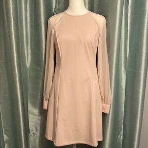 Elegant Baby Pink Long Sleeve Dress